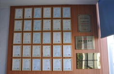 Residential ESS pioneer