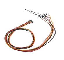 BMS Cables